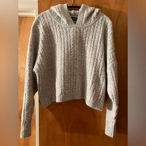 Express Hooded sweater